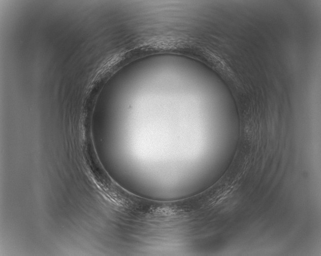 X0000056350635200509091557