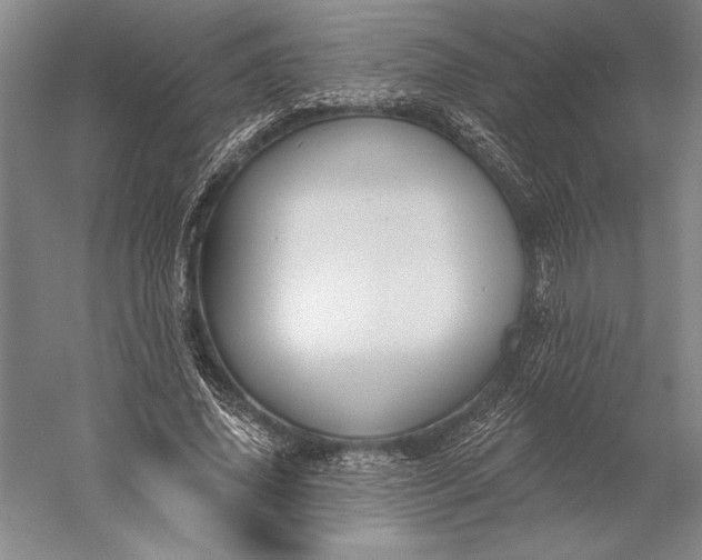 X0000056350636200509091557