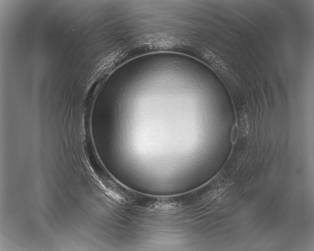 X0000056350638200509091557