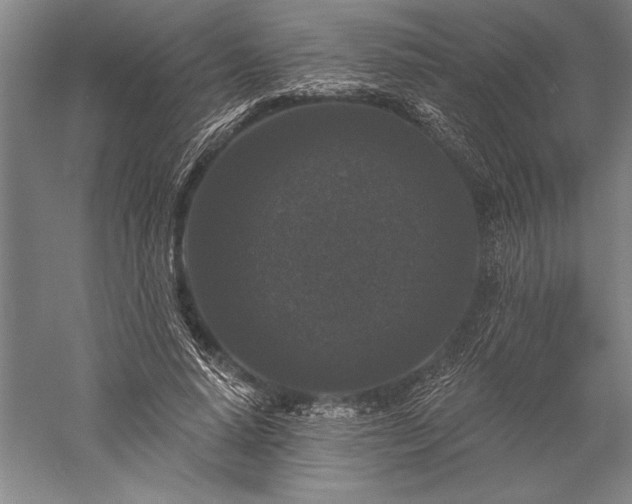 X0000056350640200509091557