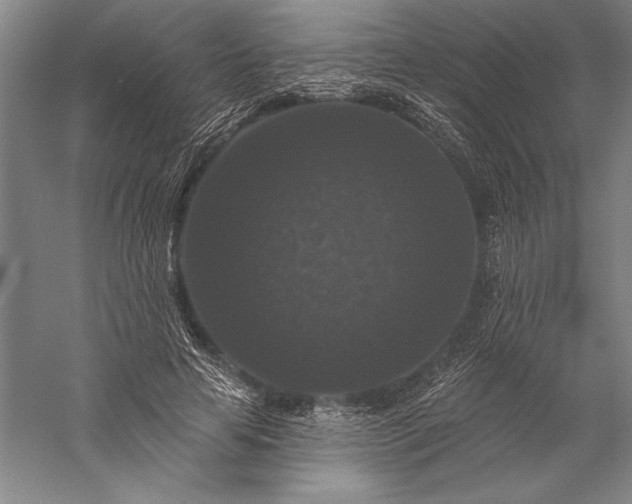 X0000056350641200509091557