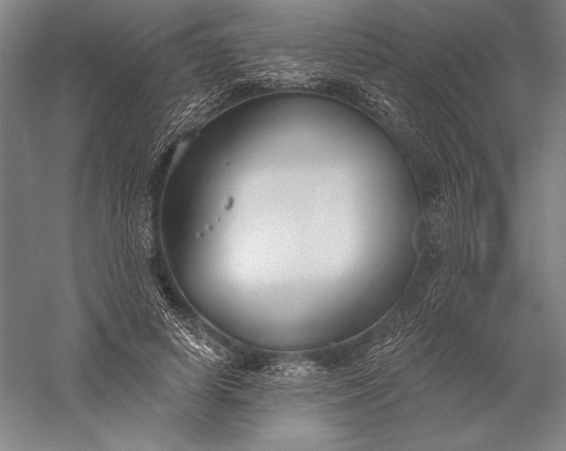 X0000056350642200509091557