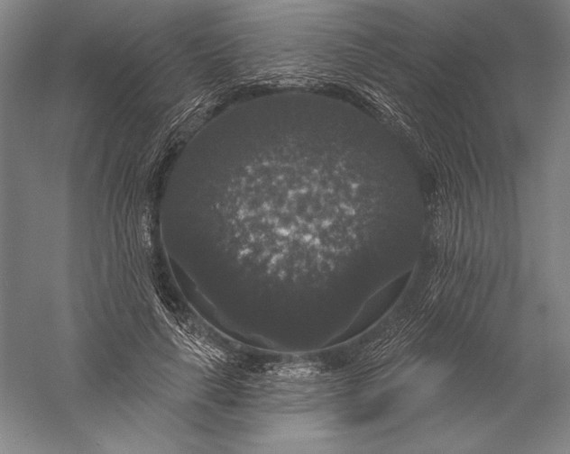 X0000056350643200509091557