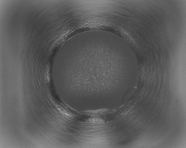 X0000056350644200509091557