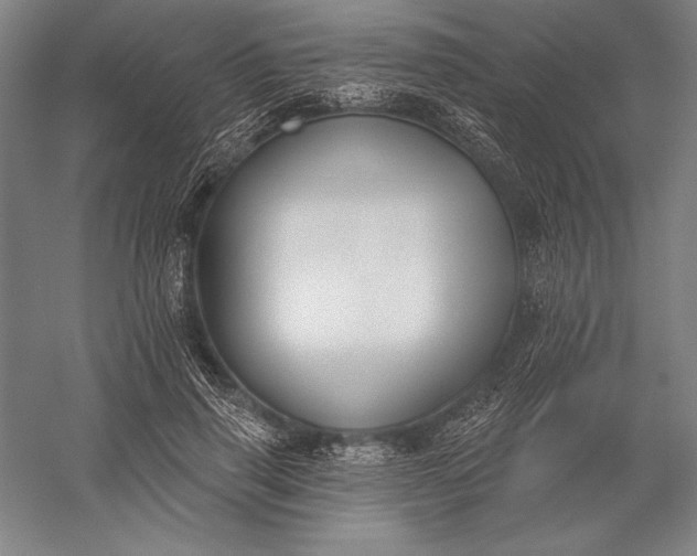 X0000056350645200509091557