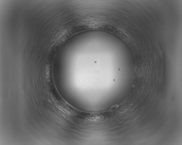 X0000056350646200509091557