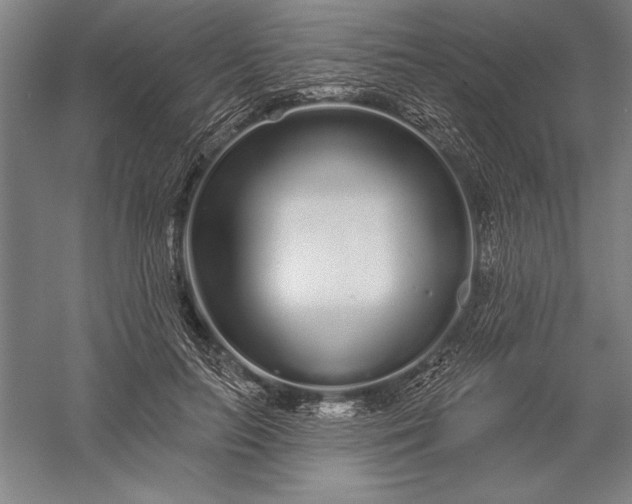 X0000056350647200509091557