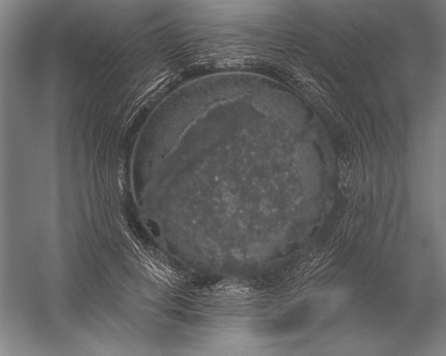 X0000056350648200509091557