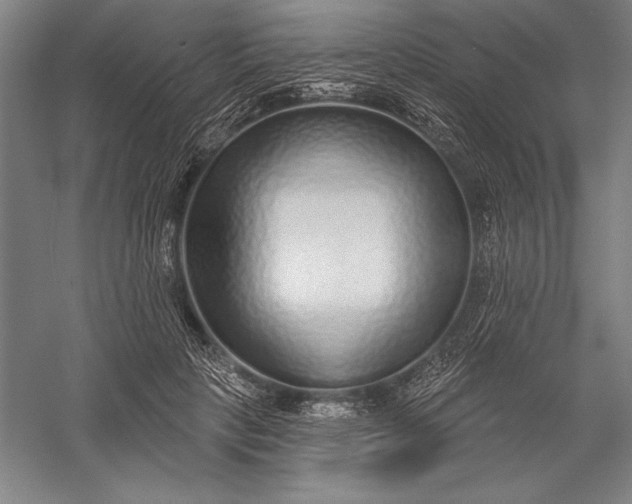 X0000056350649200509091557