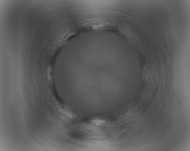 X0000056350650200509091557