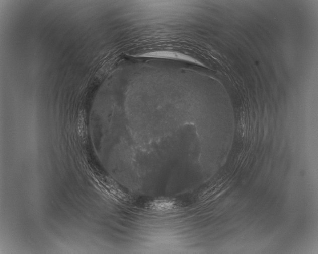 X0000056350651200509091557