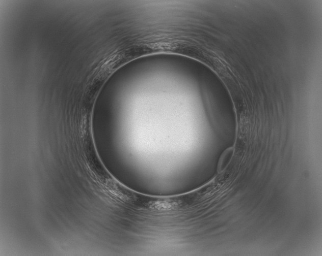 X0000056350652200509091557