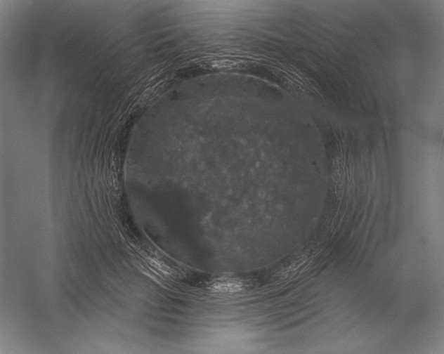 X0000056350653200509091557