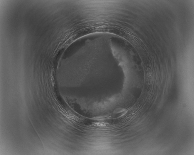 X0000056350654200509091557