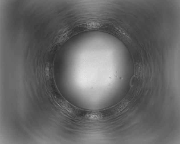 X0000056350655200509091557