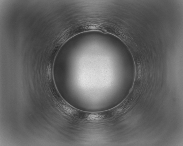 X0000056350657200509091557