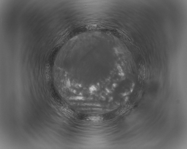 X0000056350659200509091558