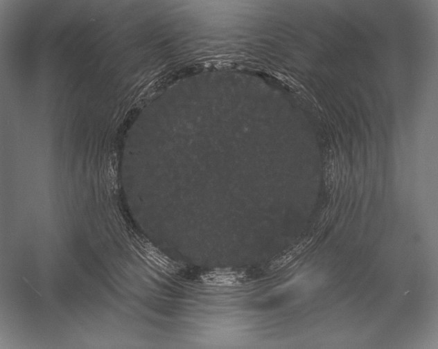 X0000056350661200509091558