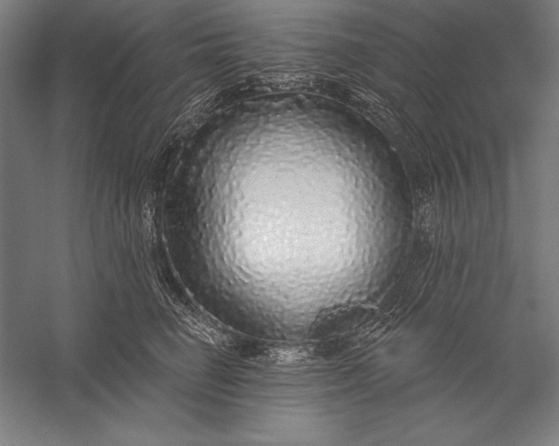 X0000056350662200509091558