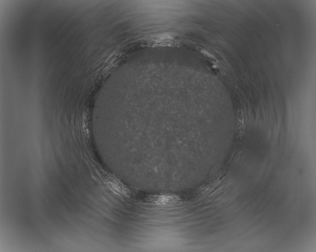 X0000056350663200509091558