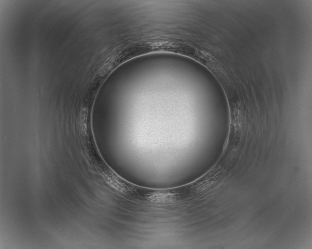 X0000056350664200509091558