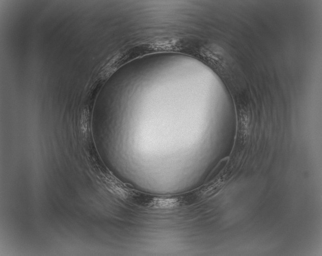 X0000056350665200509091558