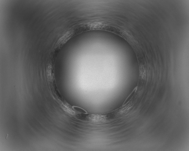 X0000056350670200509091558