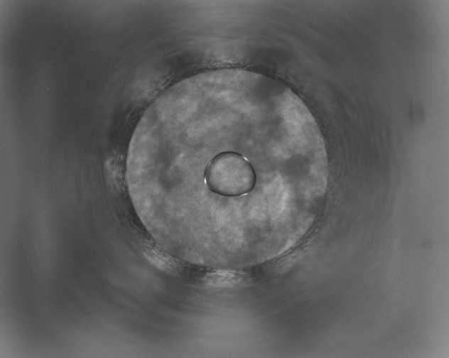 X0000056350672200509091558