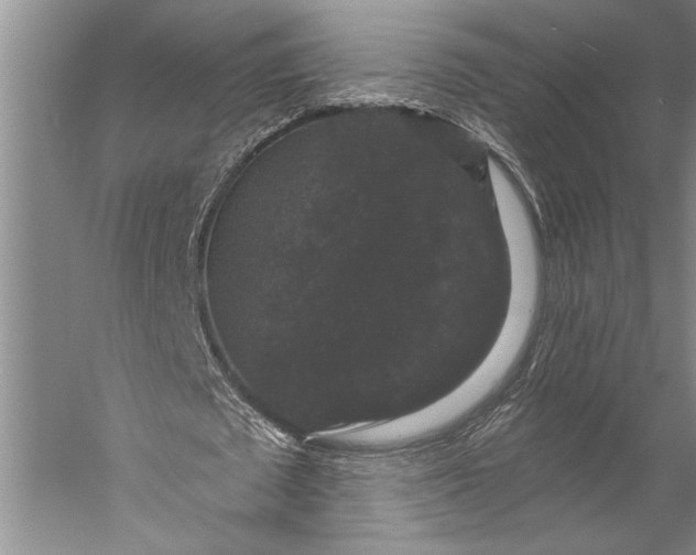 X0000056350673200509091557