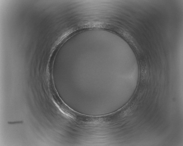 X0000056350674200509091557