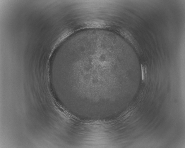 X0000056350675200509091557