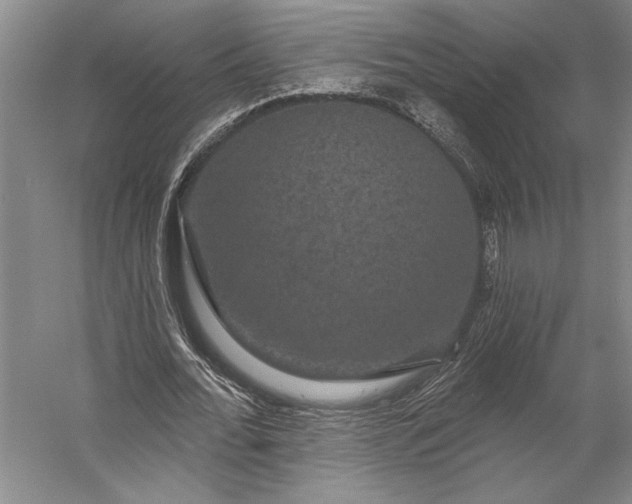 X0000056350676200509091557