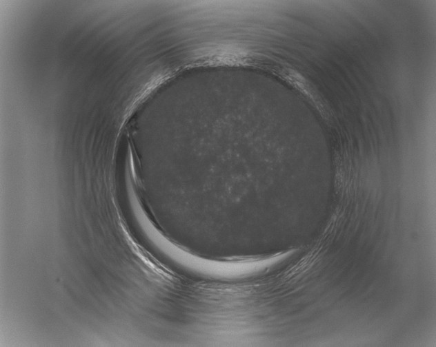 X0000056350677200509091557