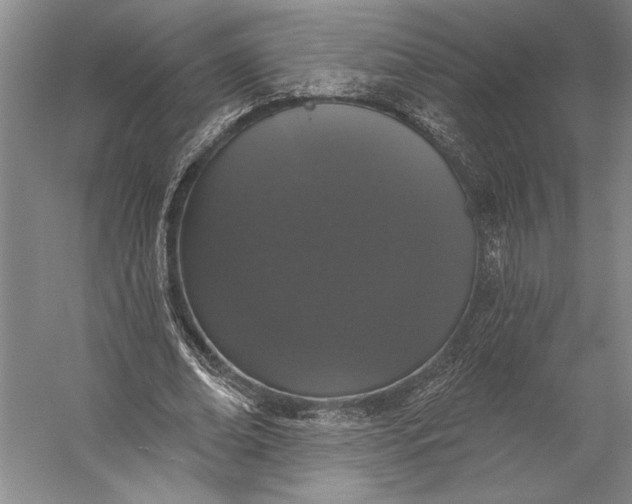 X0000056350678200509091557