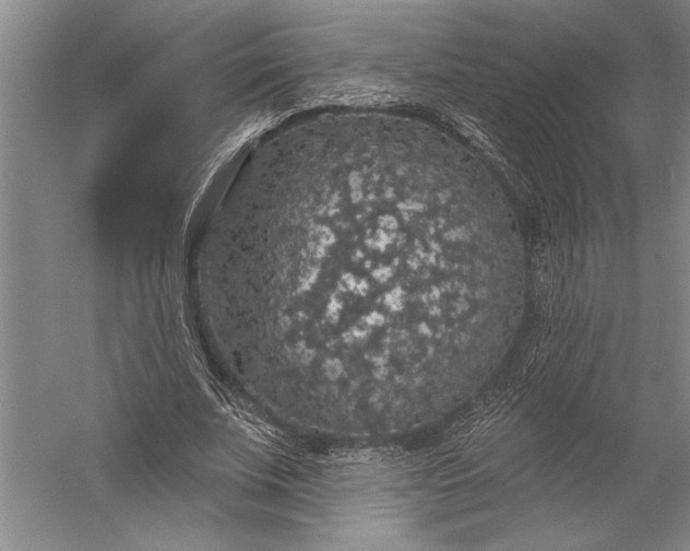 X0000056350679200509091557