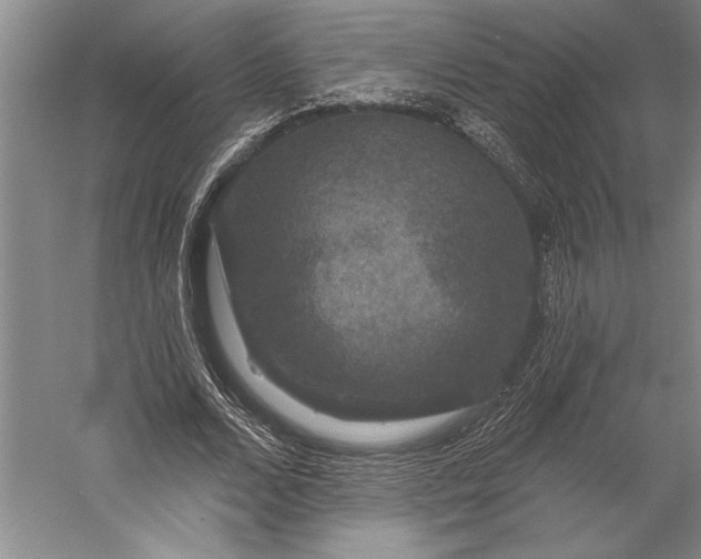 X0000056350680200509091557