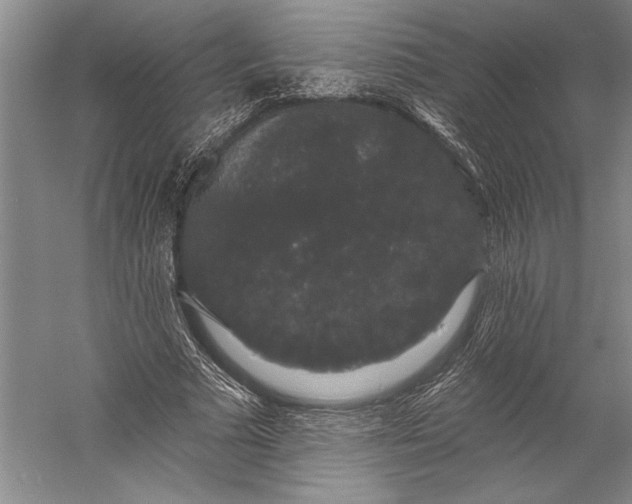 X0000056350681200509091557