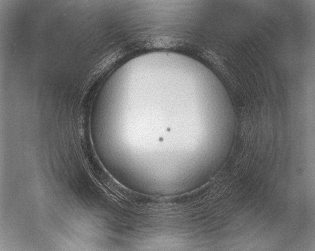 X0000056350683200509091557