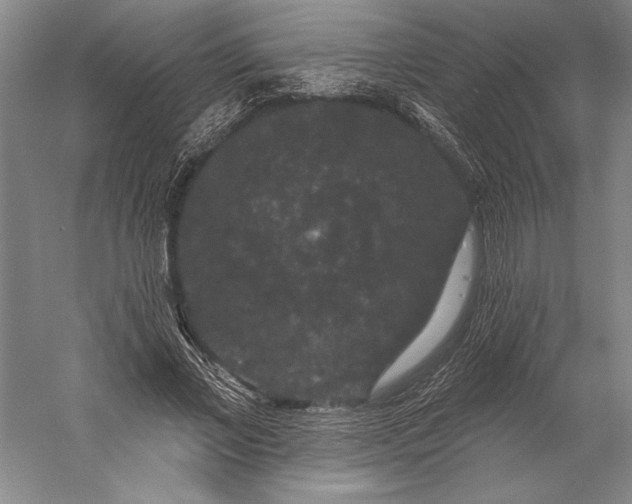 X0000056350685200509091557