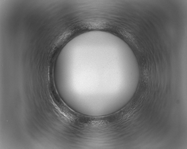 X0000056350686200509091557