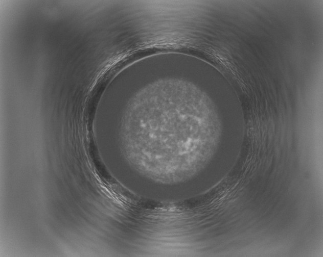 X0000056350688200509091557