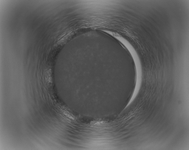 X0000056350689200509091557