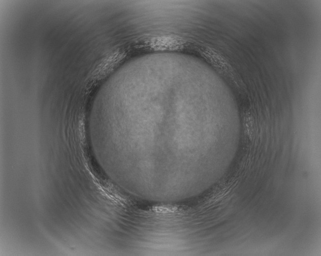 X0000056350690200509091557