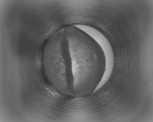 X0000056350691200509091557