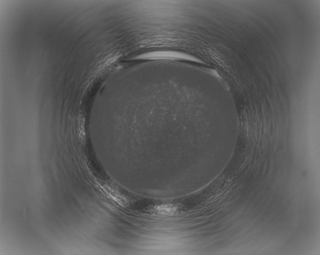 X0000056350692200509091557