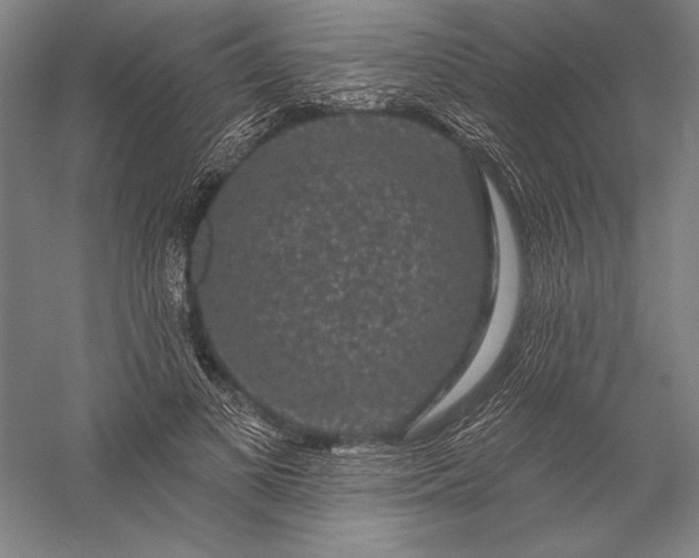 X0000056350693200509091557