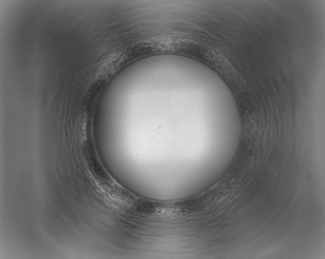 X0000056350694200509091557