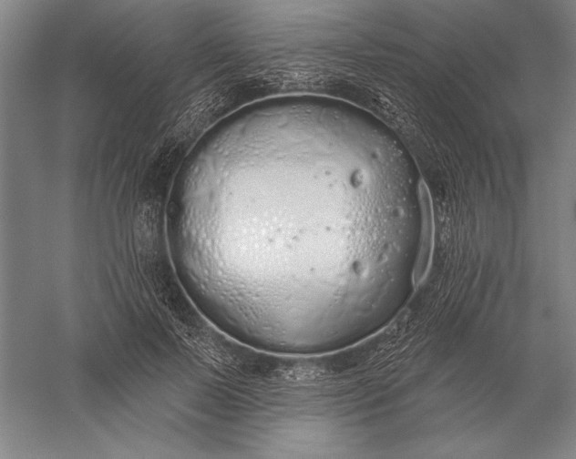 X0000056350695200509091557