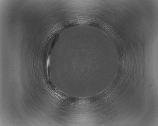 X0000056350696200509091557