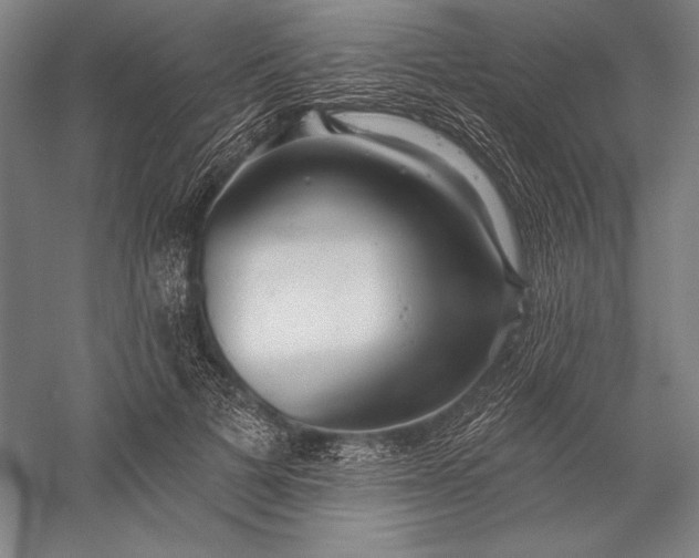 X0000056350697200509091556